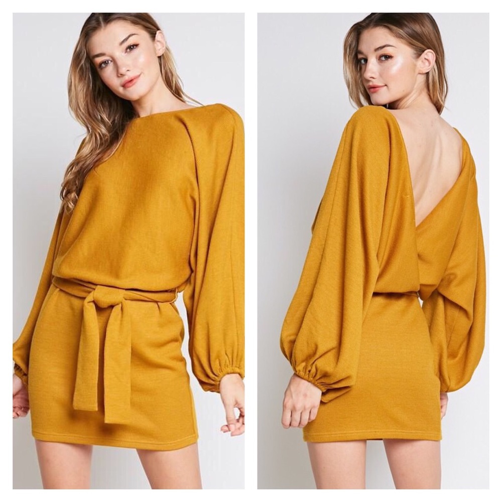 Sexy Knit Long Sleeve Dress